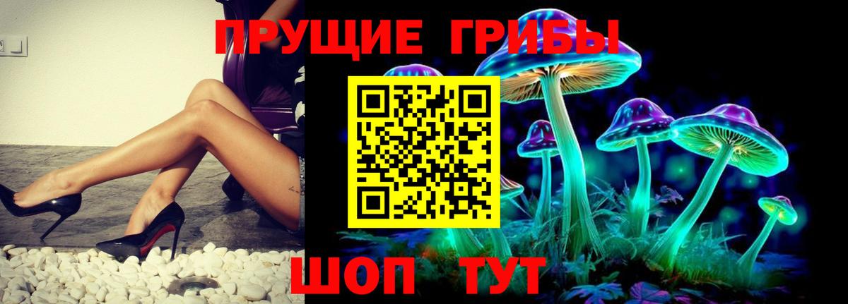 Галлюциногенные грибы Cubensis Верхняя Пышма